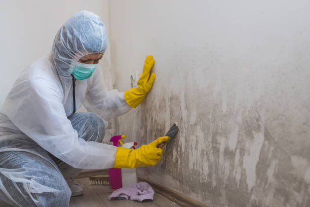 Water Damage Restoration in Shenandoah, VA