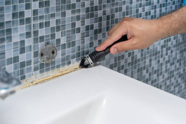 Best Same-Day Mold Removal  in Shenandoah, VA