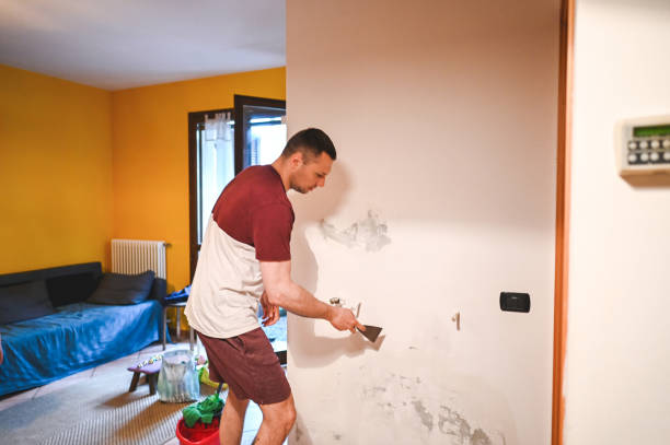 Professional Mold Removal in Shenandoah, VA